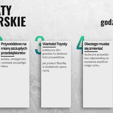 warsztaty managerskie - program - projekt infografiki