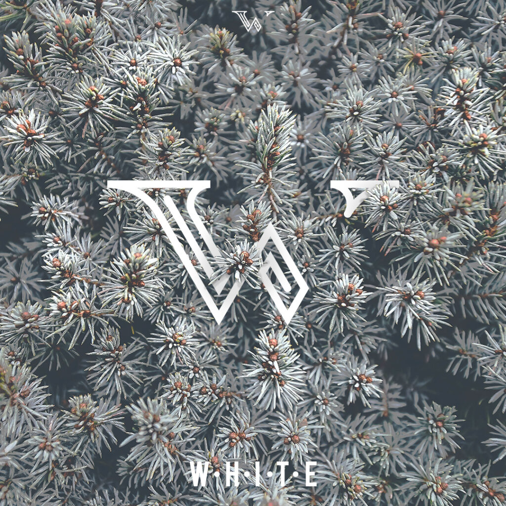 Wizualizacja logo W - White obrazek z tłem