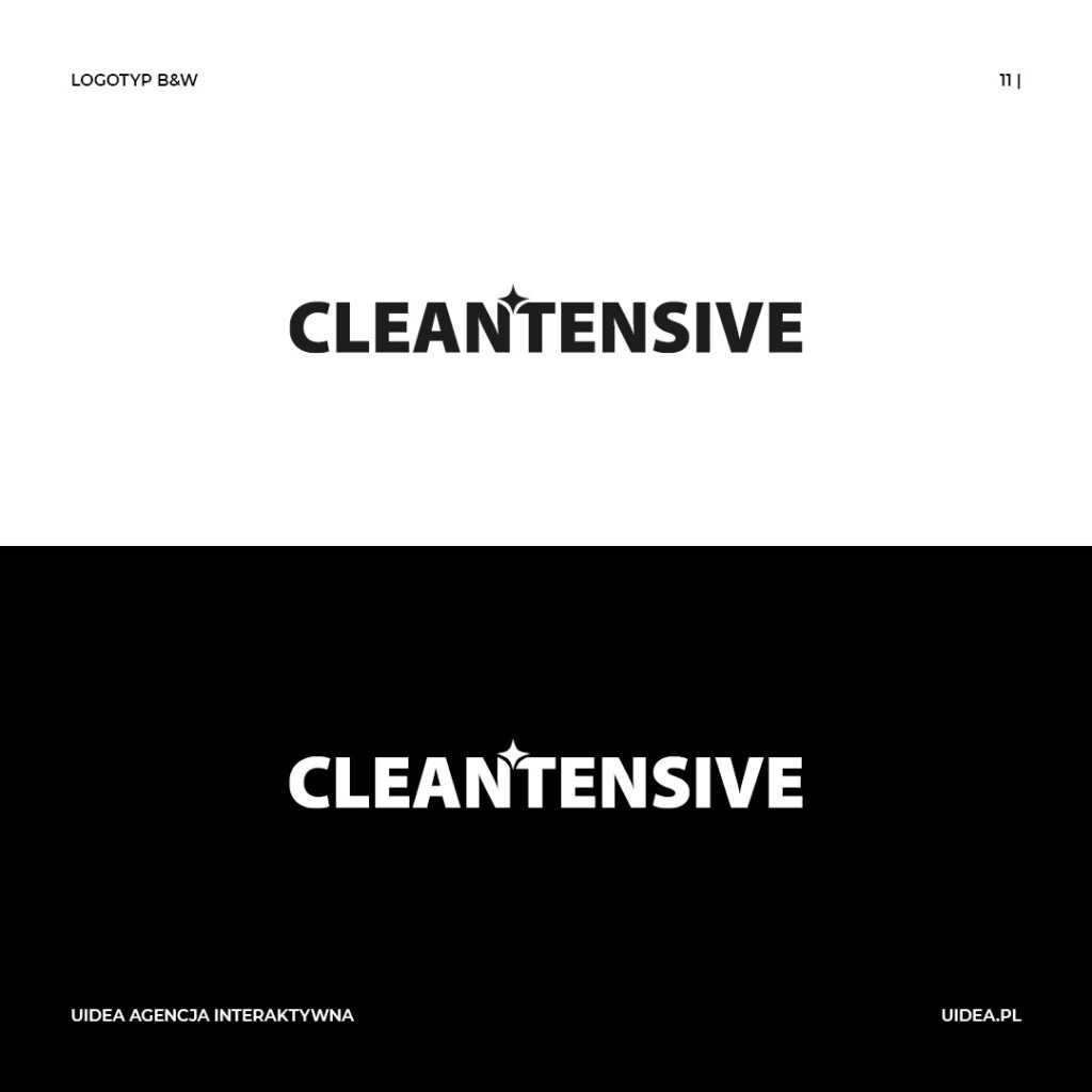 Projekt logo CleanTensive - logotyp czarny i biały